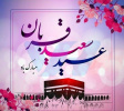 عید قربان زنده دارد یاد قربان گشتگان را پاسداران و اسیران و به خون آغشتگان را خیز و در این عیدقربان سوی قربانگاه رو کن معنی بیت و حرم را در شهادت جست وجو کن . .